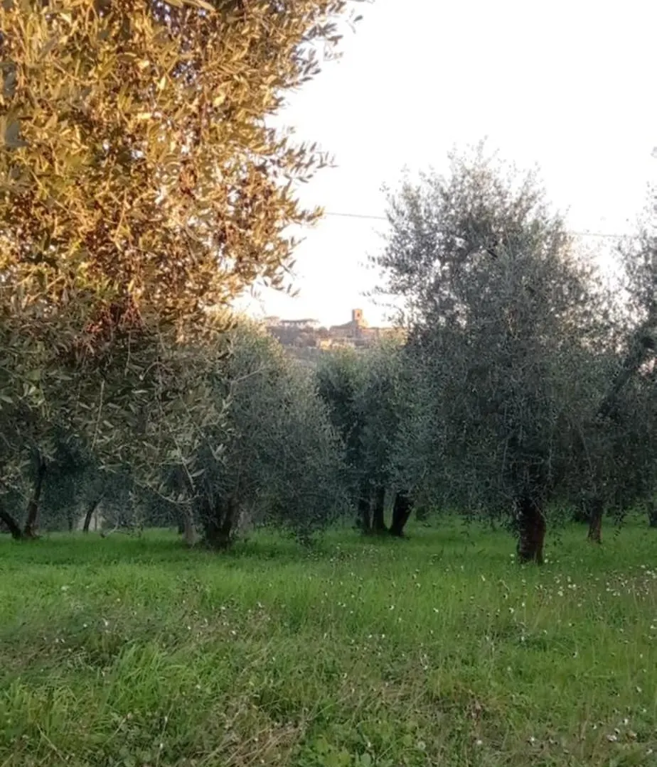 Appartamento Il Pettirosso Monsummano Terme
