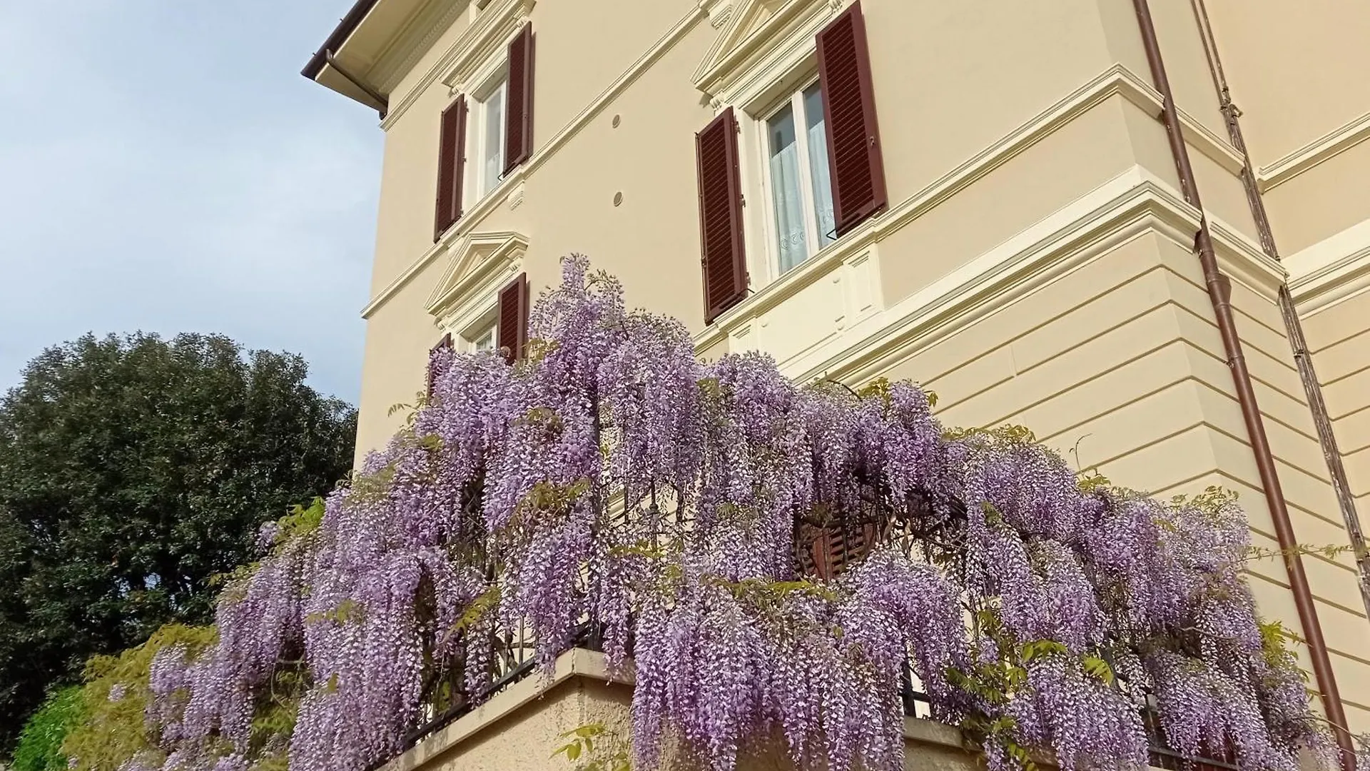 Appartamento Il Pettirosso Monsummano Terme